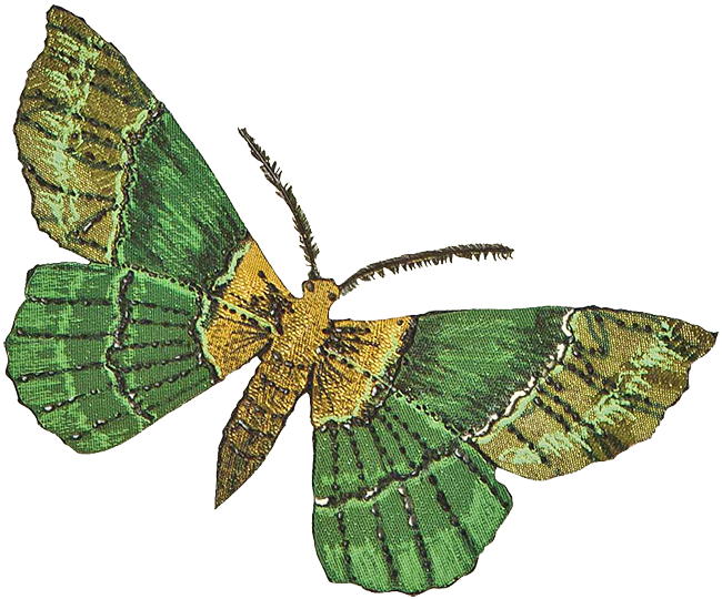 Бабочка «Ияденица зеленая»