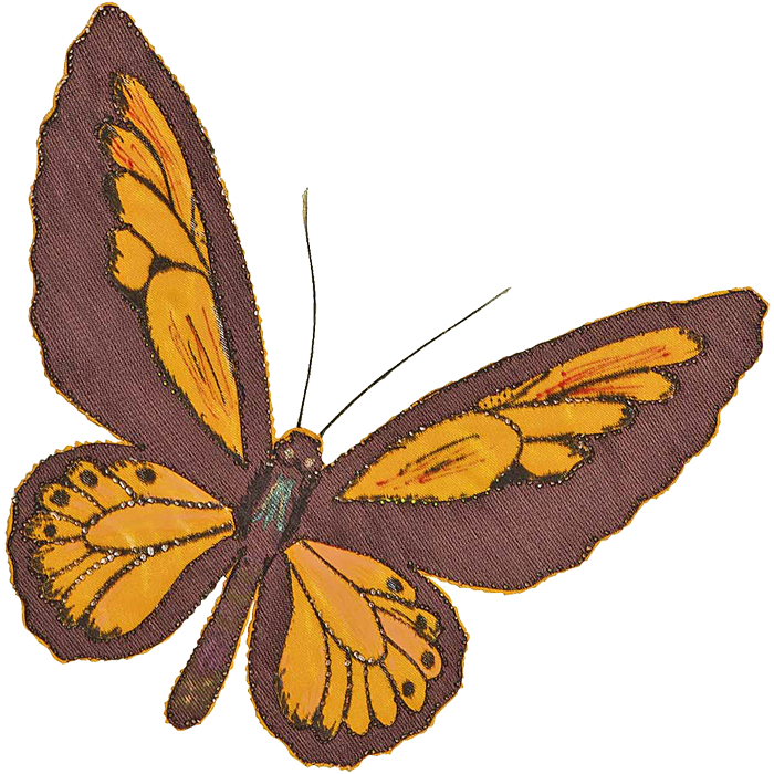 Бабочка «Птицекрылка Крез»