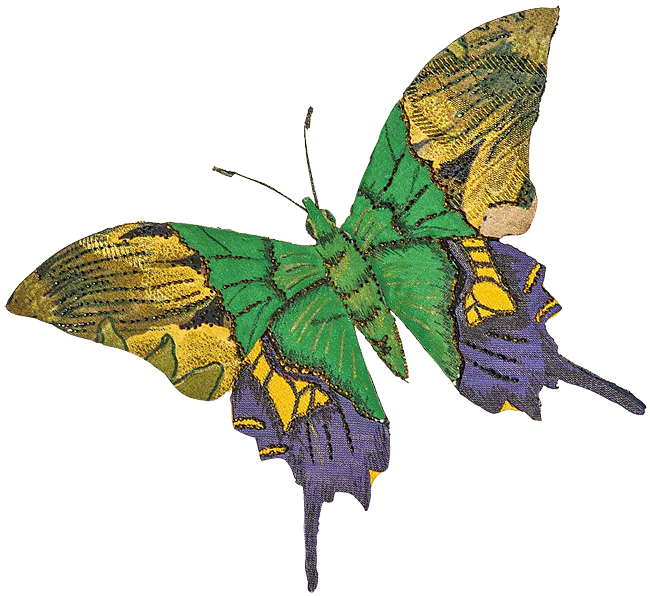 Бабочка «Тропический махаон»
