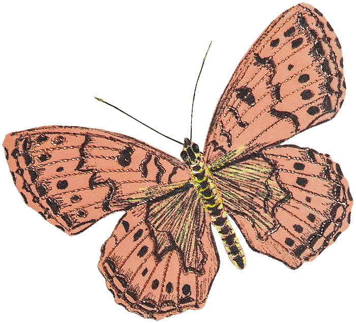 Бабочка «Перламутровая Аглая»