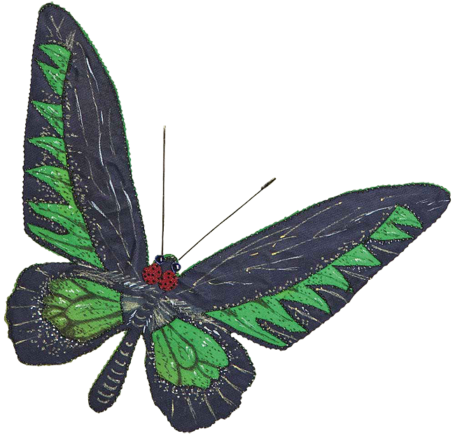 Бабочка «Птицекрылка Брукеновская»