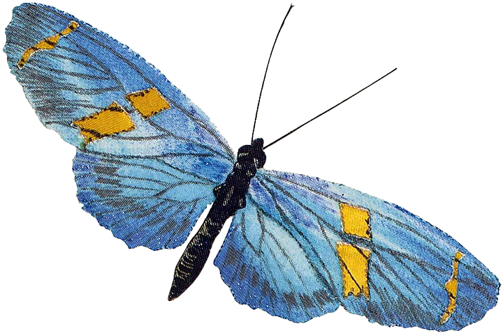 Бабочка «Геликониус»